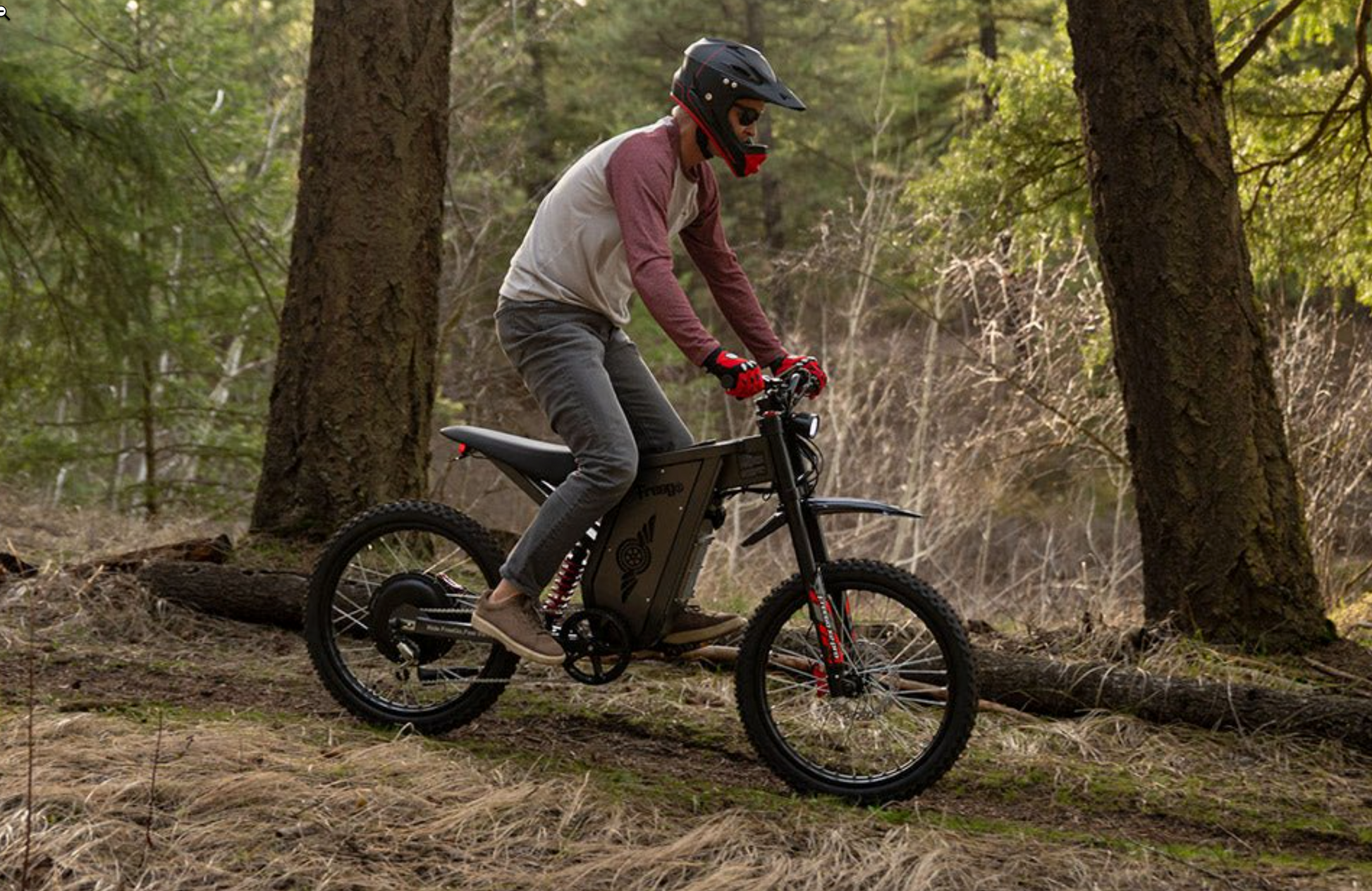 Freego X2 Pro Off Road Dirt Electric Mountain Bike