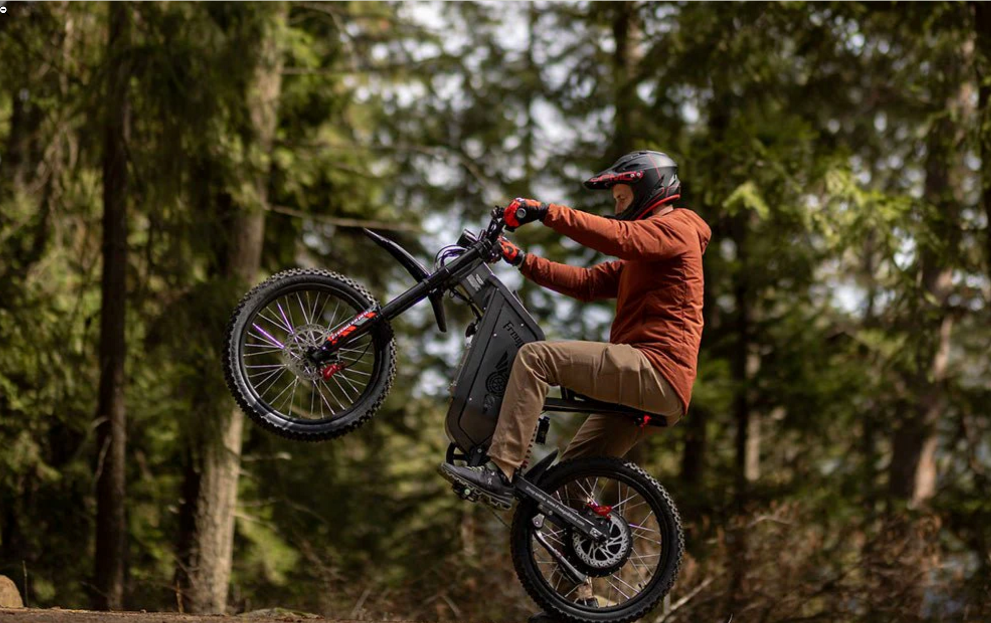 Freego X2 Pro Off Road Dirt Electric Mountain Bike