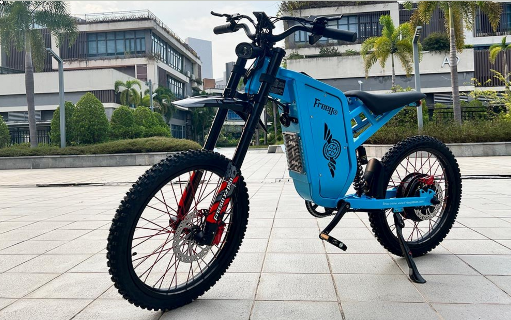 Freego X2 Pro Off Road Dirt Electric Mountain Bike