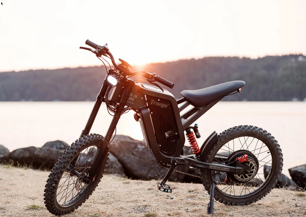 Freego X2 Off Road Dirt Electric Mountain Bike