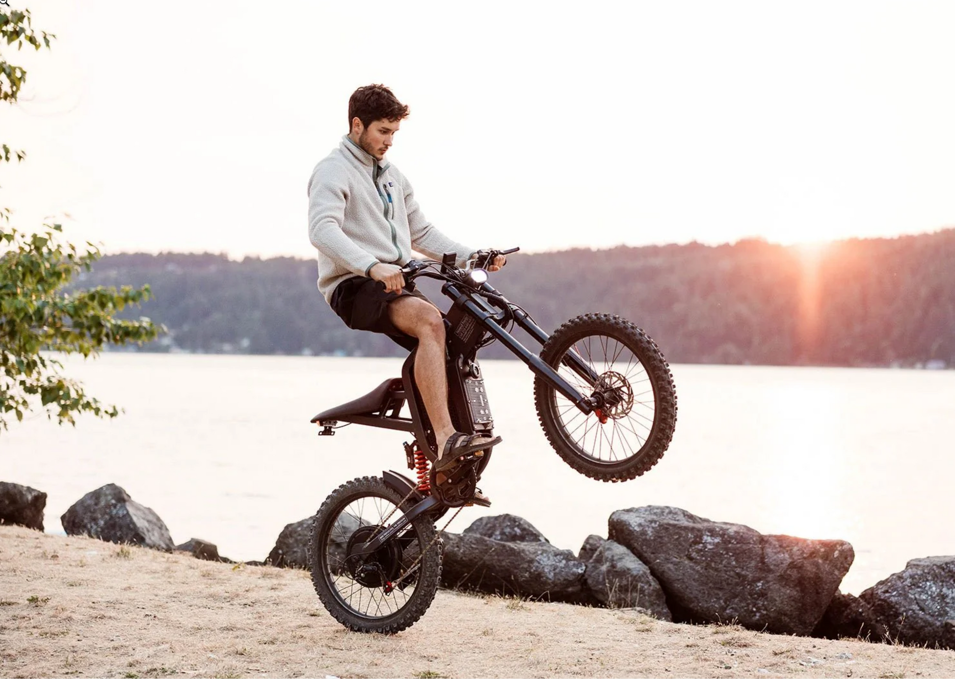Freego X2 Off Road Dirt Electric Mountain Bike