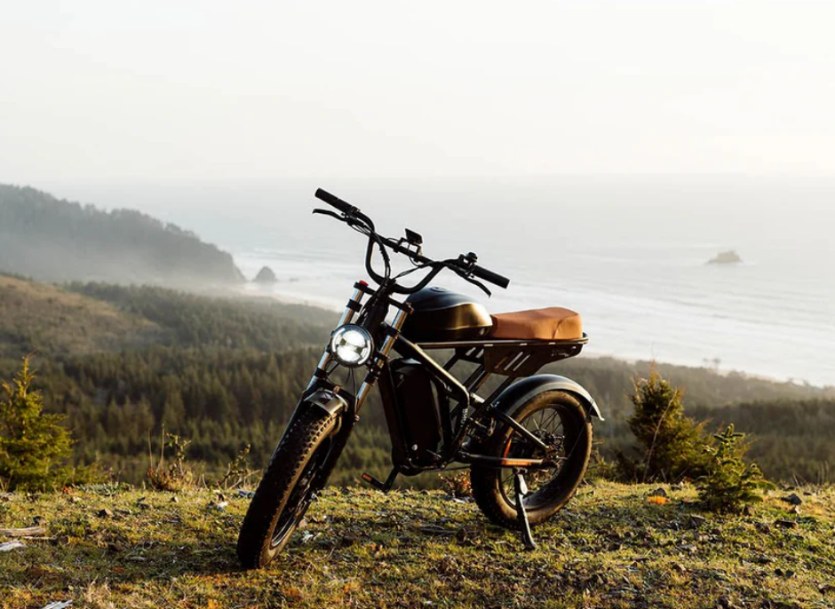 Freego Shotgun Flash F3 Pro Max Premium Electric Bike Dual Motor and Upgraded Dual Battery 55Ah