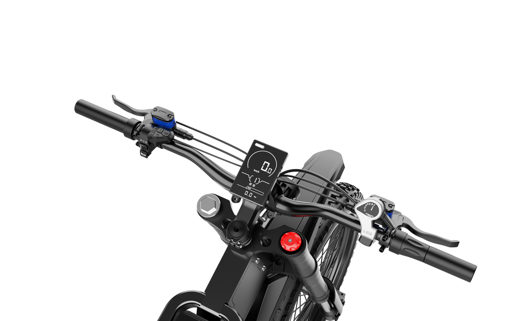 Freego X2 Off Road Dirt Electric Mountain Bike