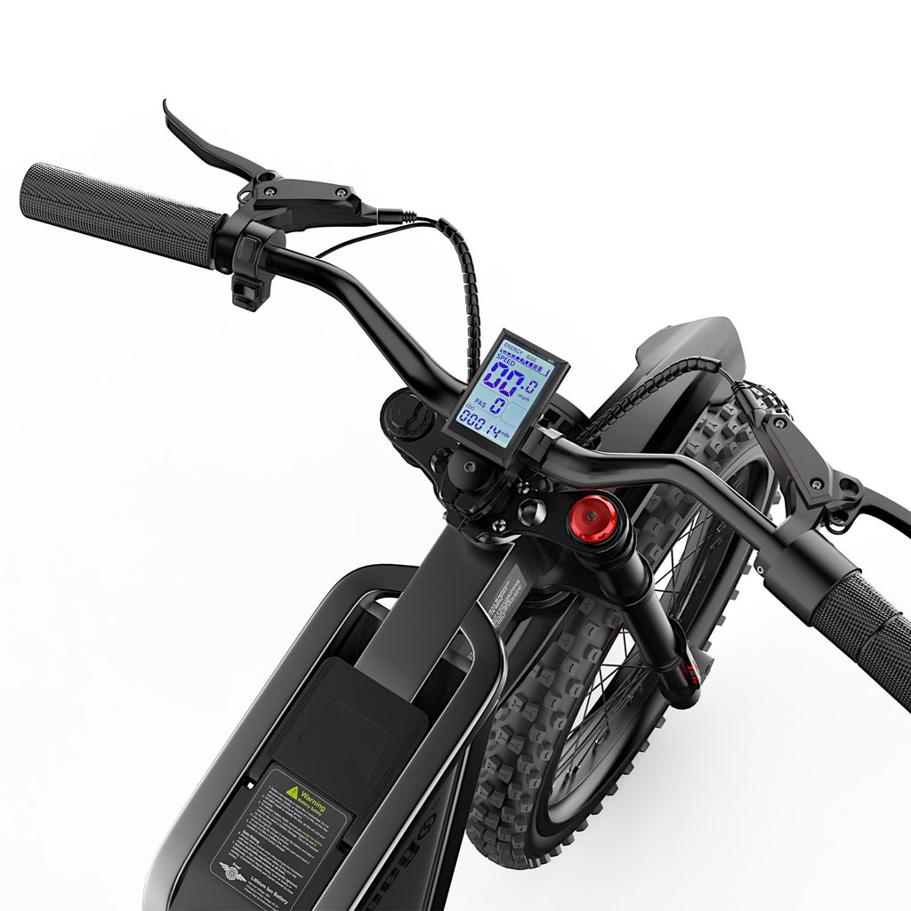 Freego X2 Pro Off Road Dirt Electric Mountain Bike (Ships Dec 25th)