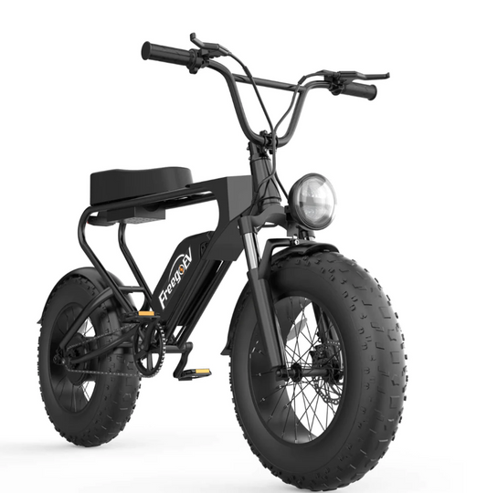 Freego DK200 Off Road Mountain Electric Bike 20'' Fat tires 1200W Powerful Motor 20Ah Lithium Battery