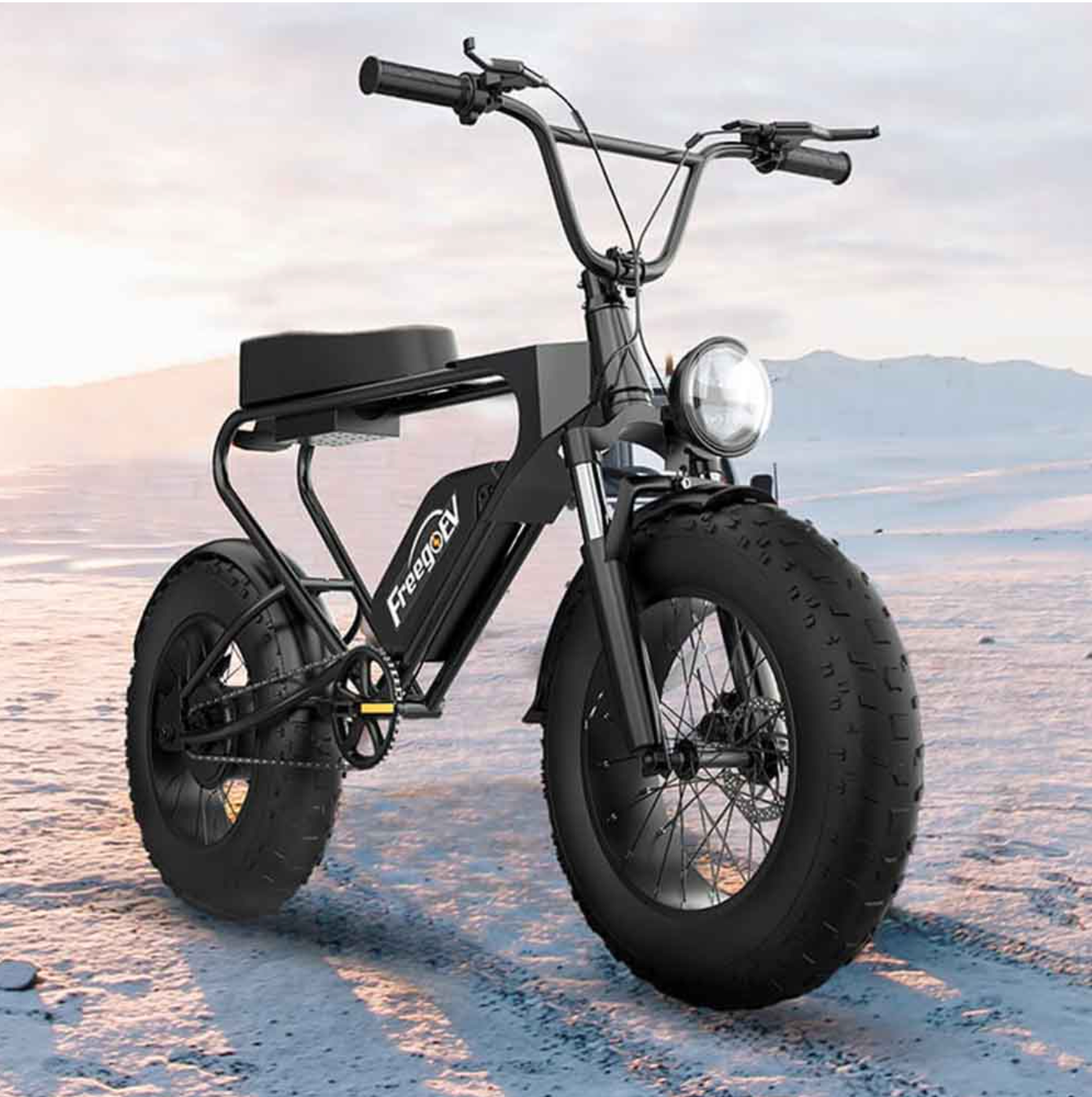 Freego DK200 Off Road Mountain Electric Bike 20'' Fat tires 1200W Powerful Motor 20Ah Lithium Battery