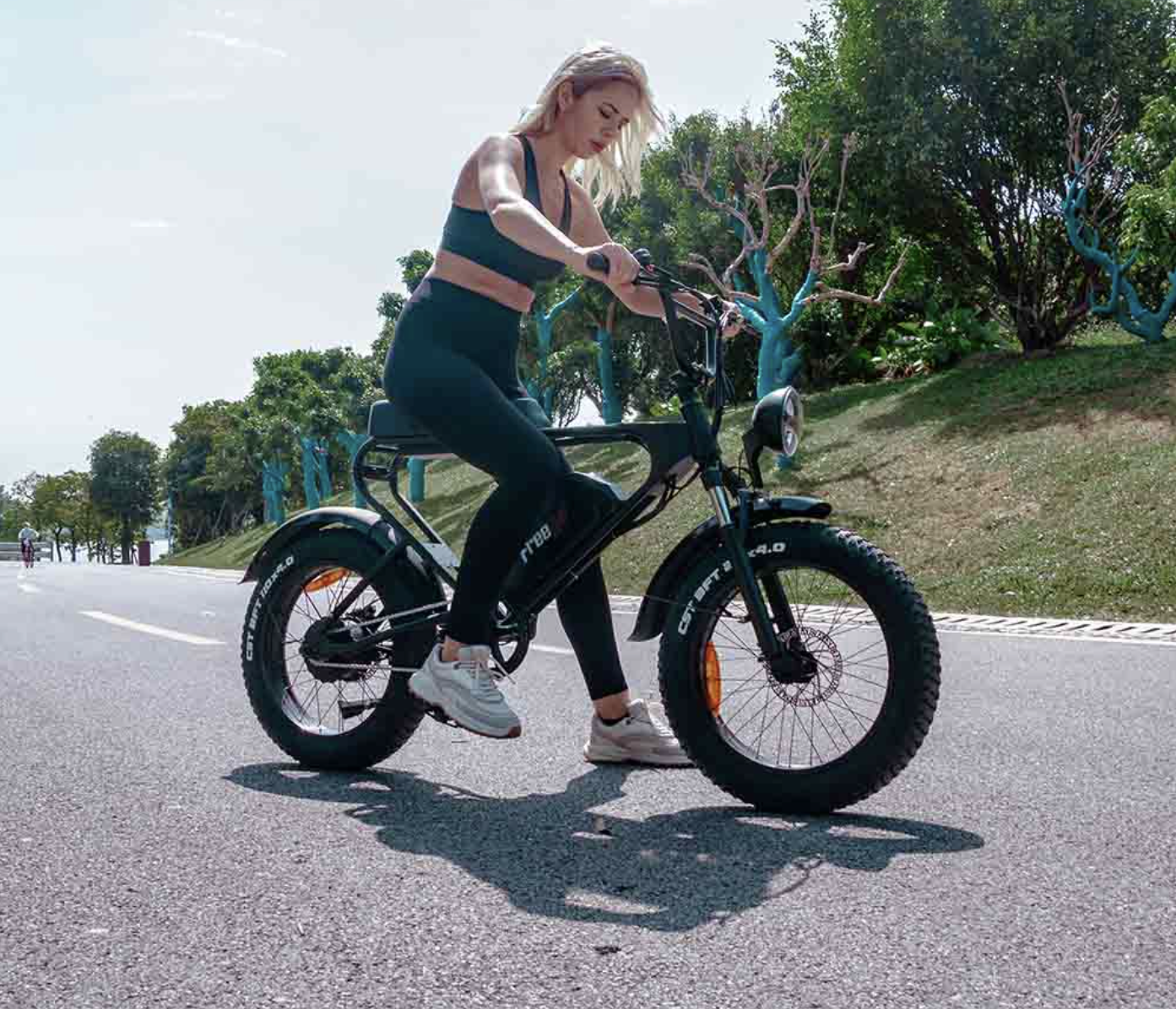 Freego DK200 Off Road Mountain Electric Bike 20'' Fat tires 1200W Powerful Motor 20Ah Lithium Battery