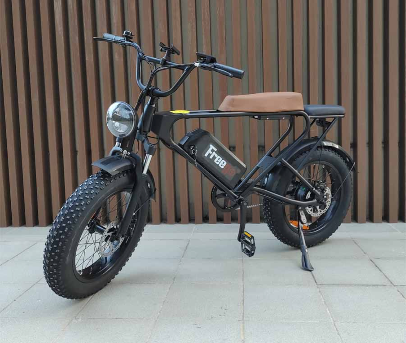 Freego DK200 Off Road Mountain Electric Bike 20'' Fat tires 1200W Powerful Motor 20Ah Lithium Battery