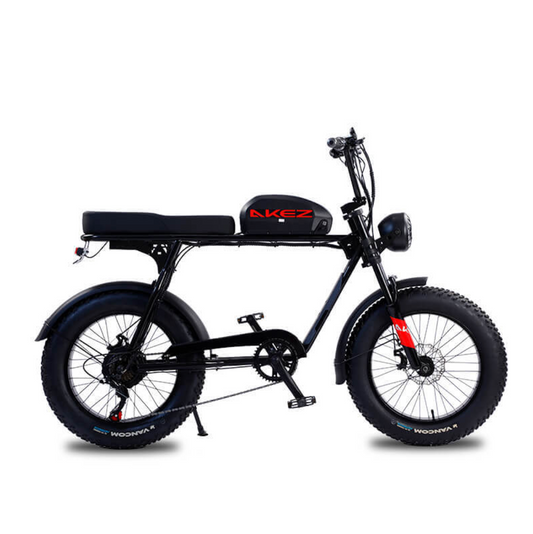 Akez S3 750W Electric Bike